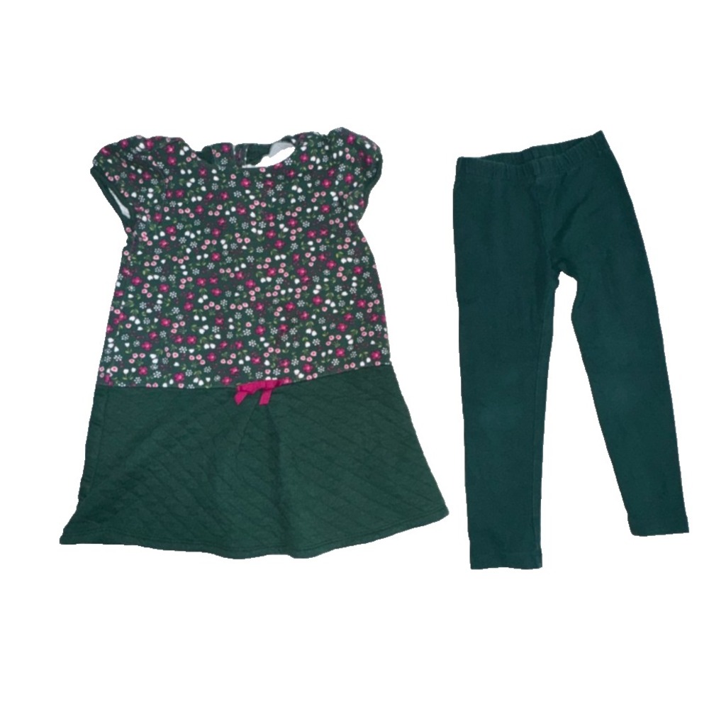 Gymboree Girl 4T/4 Dress & Leggings Set Quilted Plum Pony Floral Causal Everyday